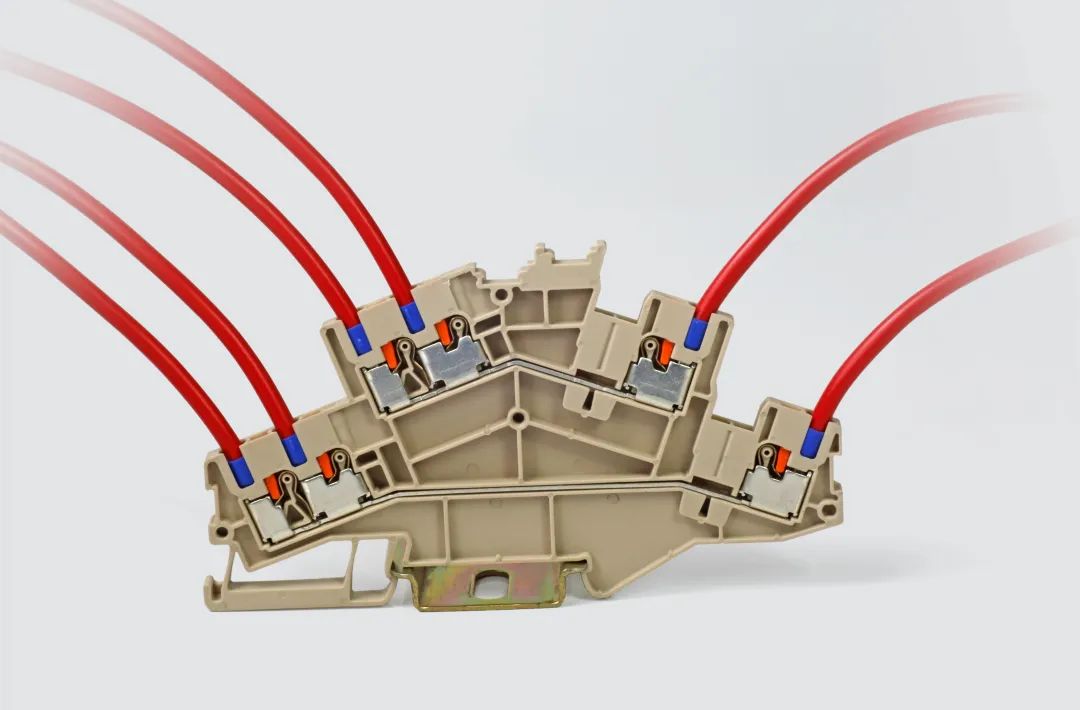 1648184162675269gDCq.jpg 1648184162675269gDCq.jpg